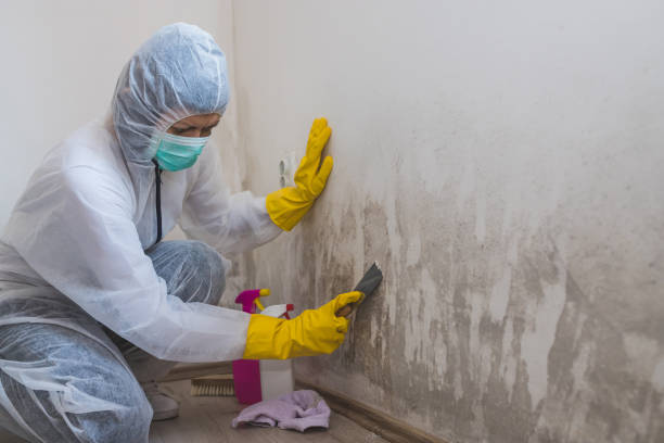 Mold Remediation for Rental Properties in Owosso, MI