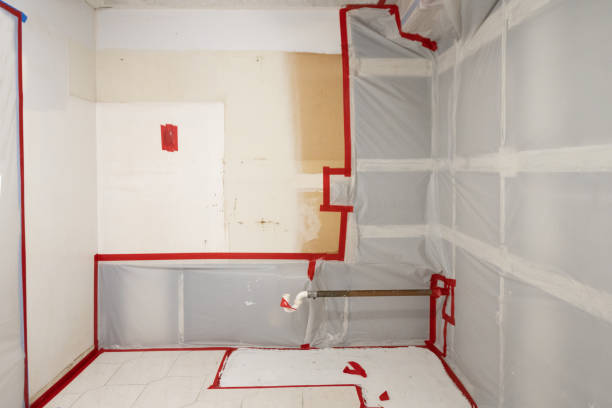 Best Crawl Space Mold Remediation  in Owosso, MI