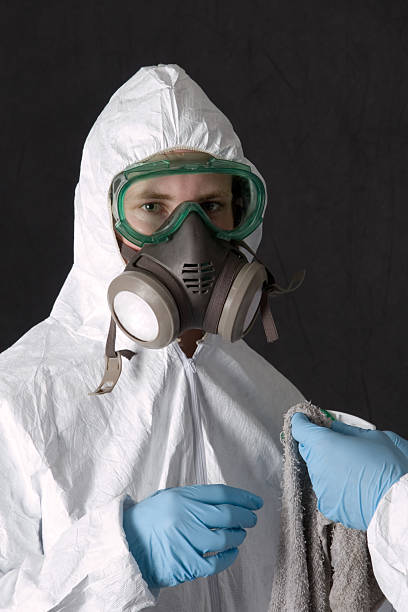 Best Mold Odor Removal Services  in Owosso, MI